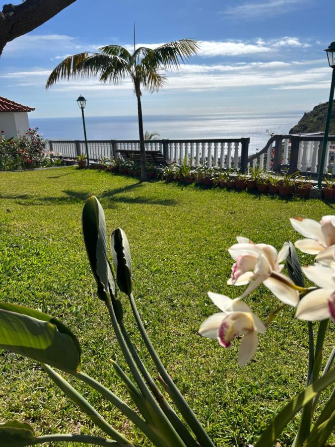Tropical Garden Vila Arco da Calheta  Exterior foto