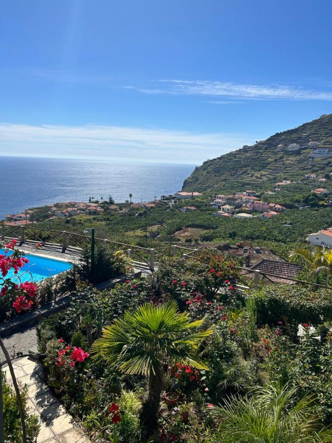Tropical Garden Vila Arco da Calheta  Exterior foto